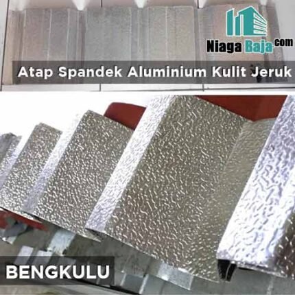 harga seng aluminium kulit jeruk Bengkulu