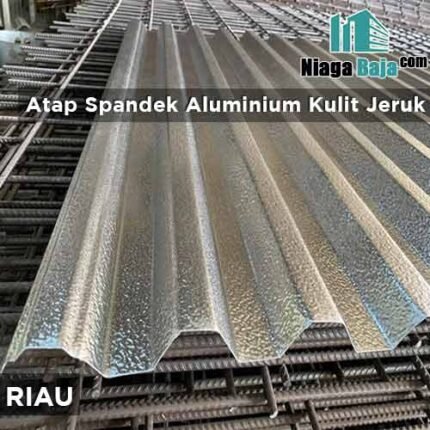 harga seng aluminium kulit jeruk Riau